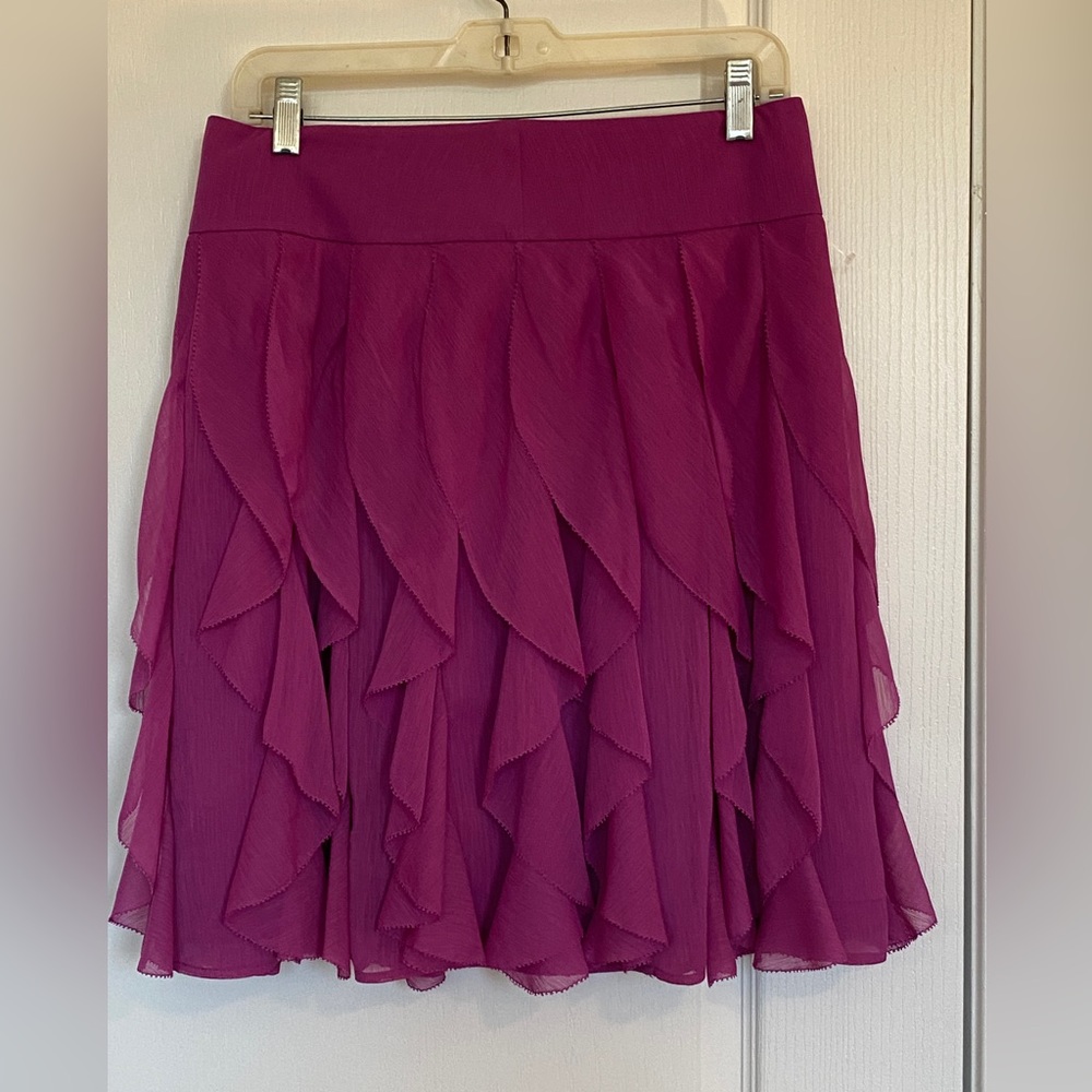 Ann Taylor fuchsia ruffled skirt. - Picture 2 of 7